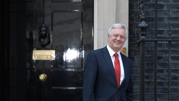 David Davis (AFP)