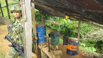 Las zonas de concentración de las FARC (Ejército de Colombia)