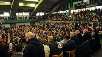 Postales. El microestadio de Ferrocarril