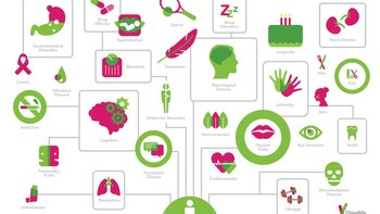 La cantidad de información disponible