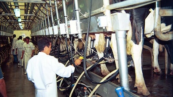 El precio del litro de