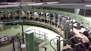 Se trata de una empresa