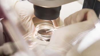 El congelamiento de óvulos o