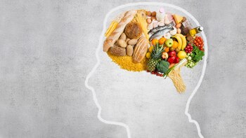 La neurofisiología de la alimentación
