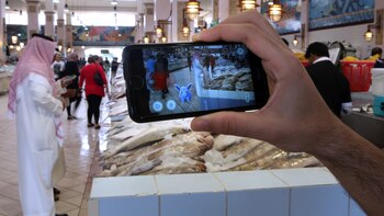 El Pokémon Go tuvo un pico de