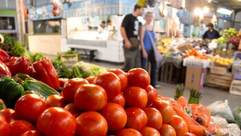 Los científicos creen que unas proteínas pequeñas de choque térmico están cumpliendo un rol en la tolerancia a la conservación al frío de los frutos