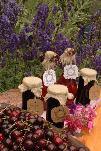 Para quienes gusten de llevarse