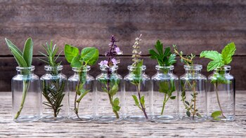 La homeopatía unicista administra un