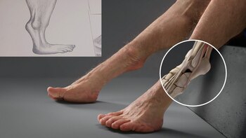 La nueva articulación en las