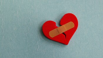 Esta es la historia de