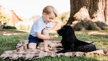 El príncipe George de Cambridge y su perro Lupo (AFP)