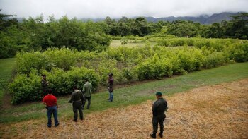 La policía colombiana entrena con