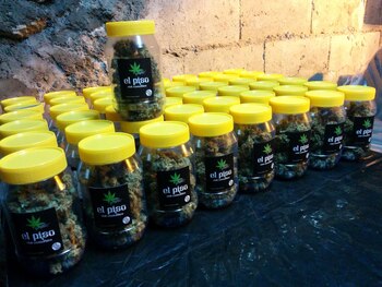 Club Canábico El PISO, uno