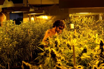 El Club Canábico El PISO