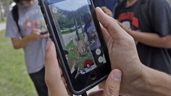 Según el autor del artículo,