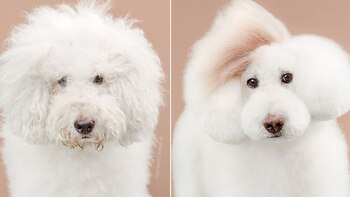 Athena se animó a un corte más osado (Grace chon)