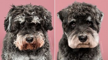 El cambio de look de Raider (Grace chon)