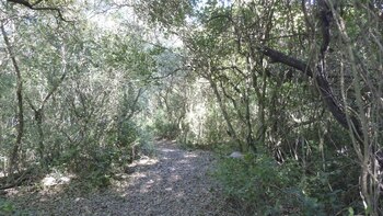 Senderos para pasear por el