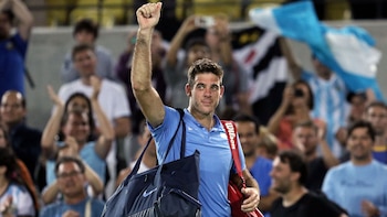 Juan Martín Del Potro dio el batacazo ante Novak Djokovic (Nicolás Stulberg)