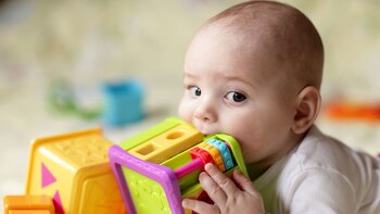 Productos como alfombras, caminadores, mesas