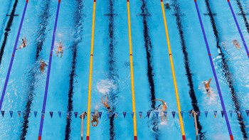 Una ley del Estado de