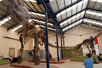 Los museos son ideales para