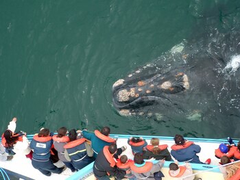 Contemplar la llegada de las