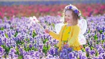 Reyes, reinas, príncipes y princesas.