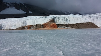 El agua de las Cataratas