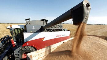 En el mercado de granos