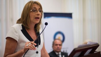 Gils Carbó solicitó al Poder