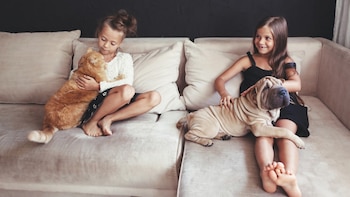 Qué caracteriza a cada dueño