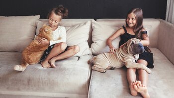 La industria turística se adapta a la demanda de los pasajeros (Shutterstock)