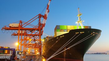 La caída de precios de