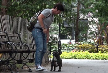 Charlie, el perro, fue el