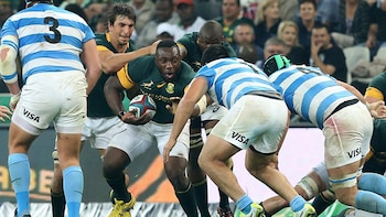 Los Pumas no pudieron con Sudáfrica en el primer partido del Championship (@Springboks)