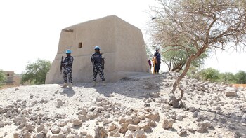 Integrantes de las fuerzas de