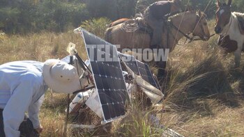 Según una etiqueta que llevaba