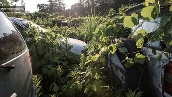 Con altos grados de contaminación