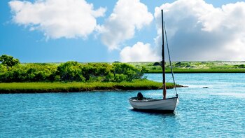 Barack Obama celebró en Martha’s