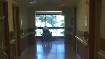 Wolf, solitario, en el asilo