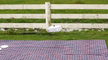 El drone tendrá un sistema