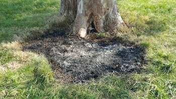 La mujer estaba dentro de