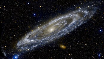 Muchos informes marcarán el futuro