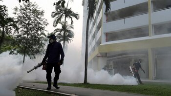 Fumigaciones en Singapur por el zika