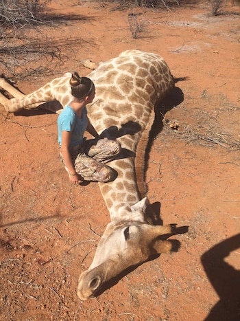 Las imágenes de Aryanna junto