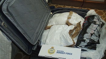 En total tenían 95 kilogramos