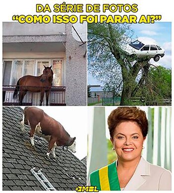 ¿Cómo hizo para llegar ahí?