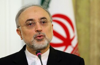 Ali Akbar Salehi, director de