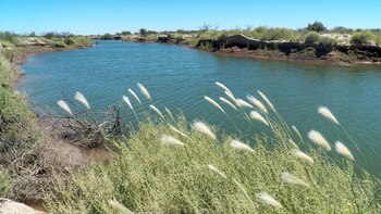 Impulsan el reciclado y recupero